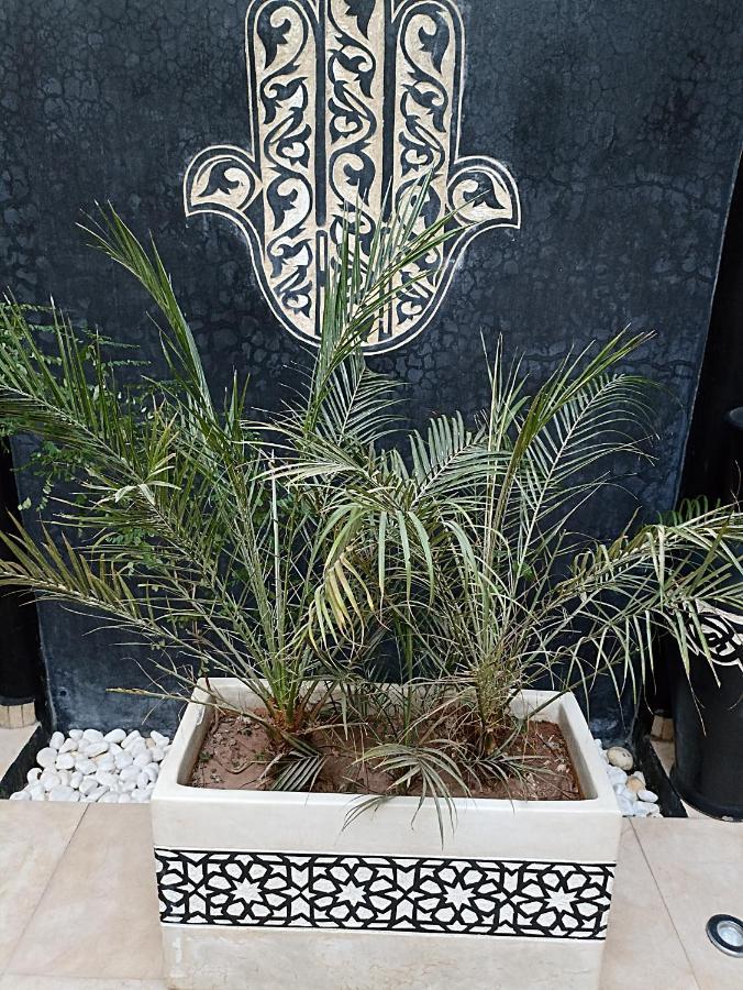 Riad Excellence Marrakesh Exterior photo